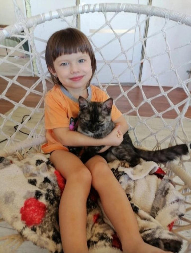 День кошек День кошек.